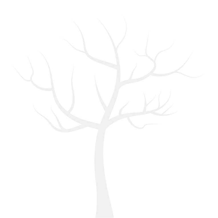 The VINE & Branches Outreach